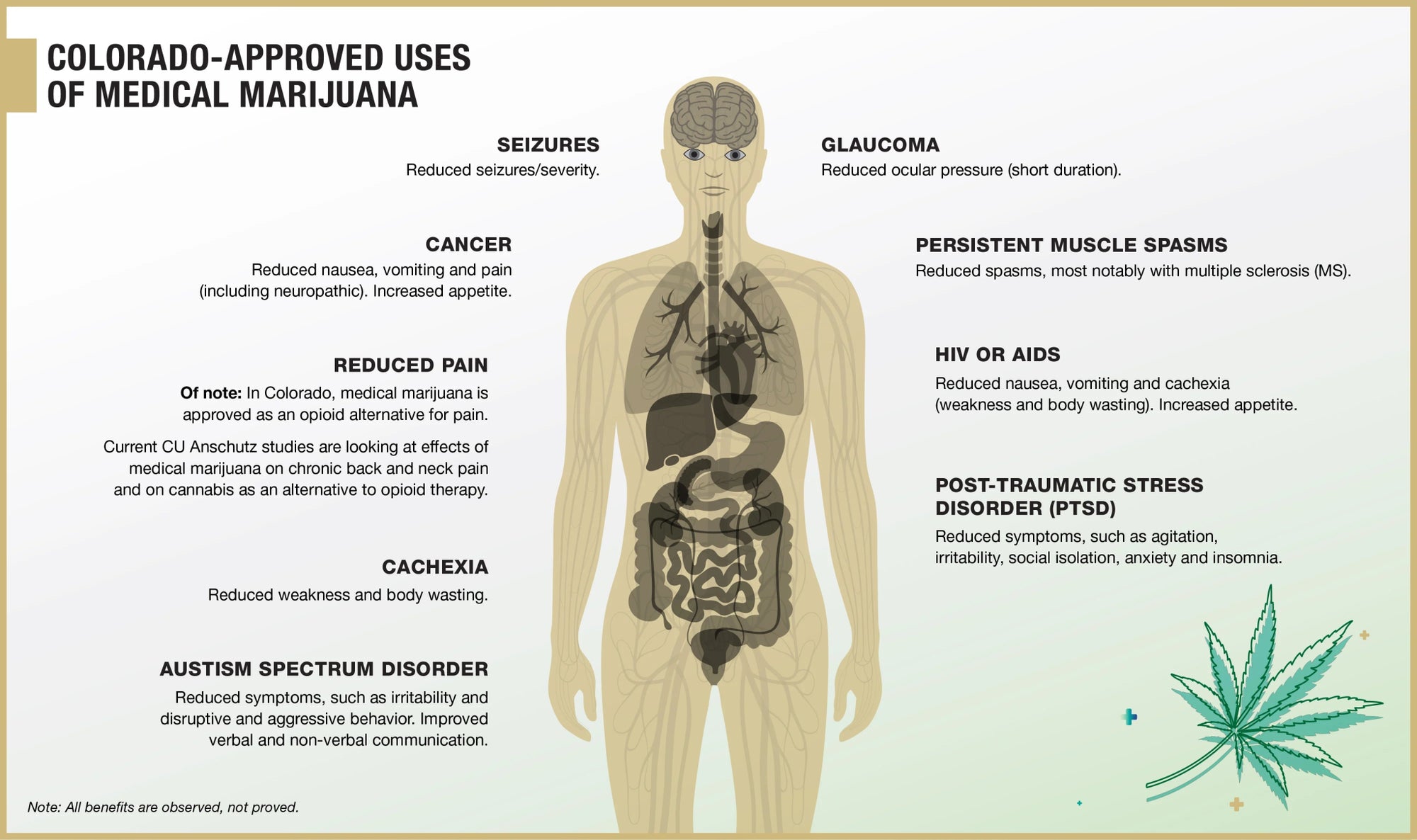 Health Benefits of Cannabis That Everyone Should Know - JOLLY