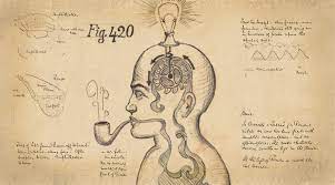 Science Behind Marijuana - JOLLY
