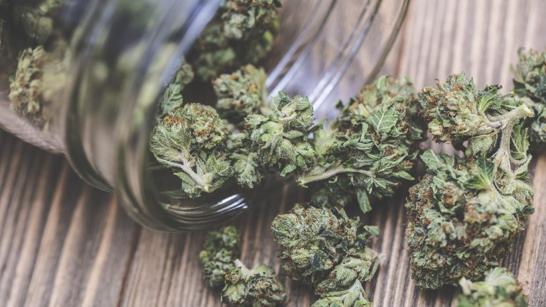 10 Medical Benefits of Using Marijuana: - JOLLY