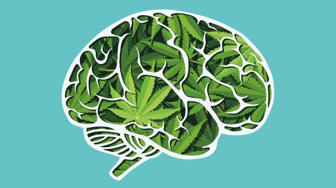 How to positive Effects of cannabinoids on the brain - JOLLY