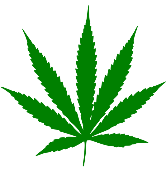 What Are the Benefits of CBD? - JOLLY